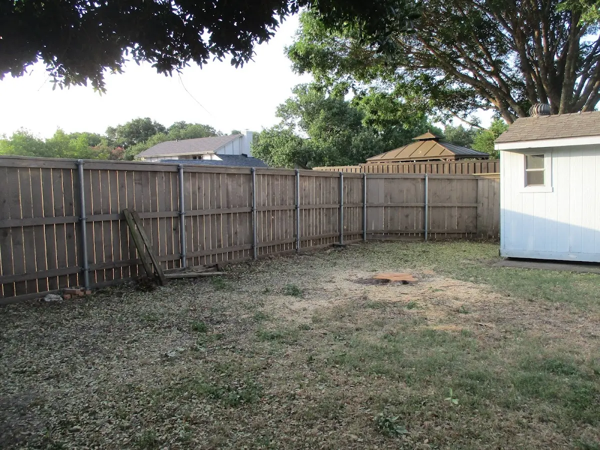 Cleared yard after professional tree removal in Hague