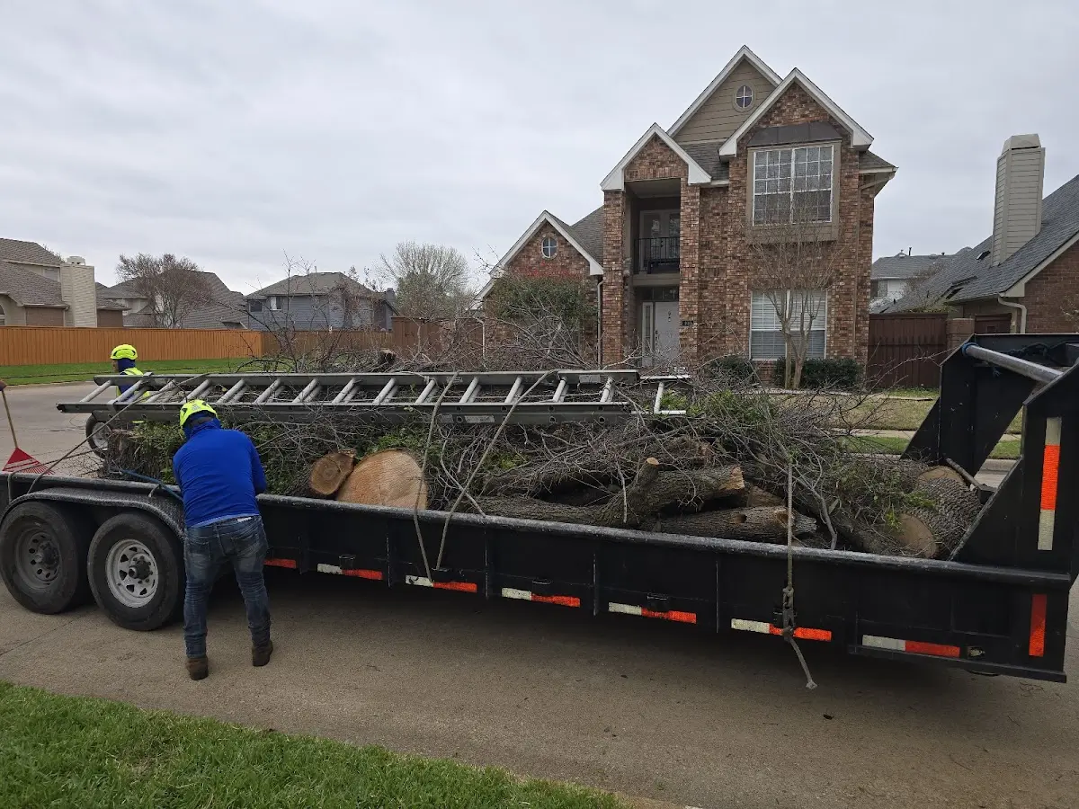 Expert Tree Fertilization with proper safety equipment in Hague